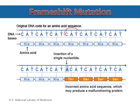 do substitution mutations result in frameshift|2.9: Mutations .